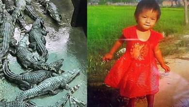 心碎！ 2歲女兒誤入鱷魚池被吃掉，父親捨命救女也回天無力